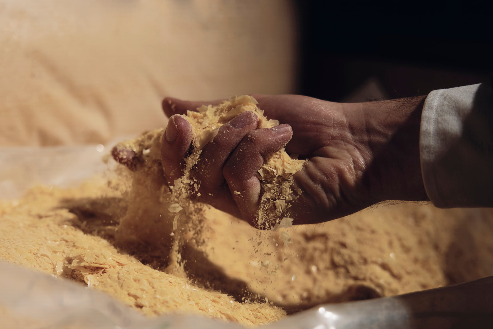 La maison svizzera della carnauba